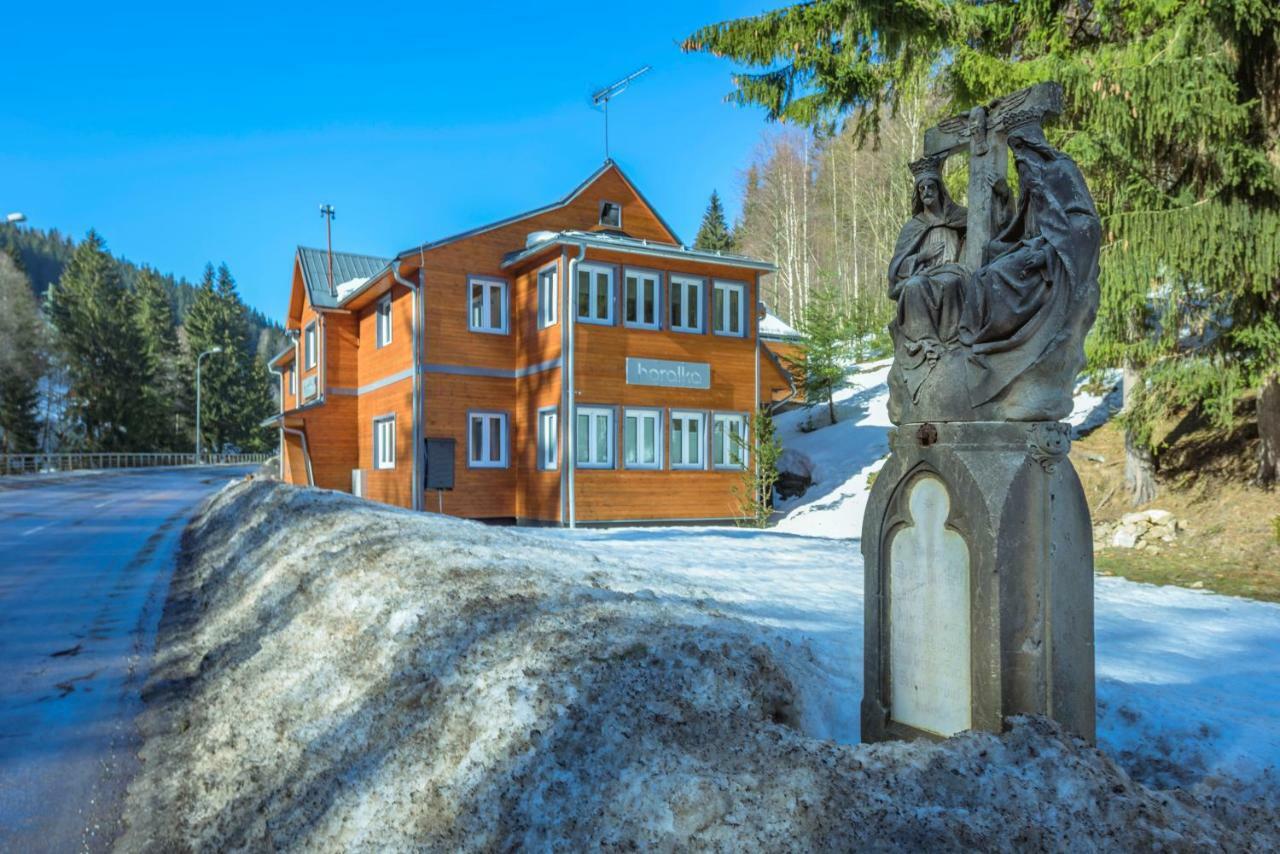 Horalka Apartman Pec Pec pod Snezkou Exterior foto